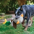 thumbnail image 3 of KONG® Shakers Honkers Squeaker Dog Toy, Duck, Large, 3 of 6