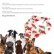 thumbnail image 3 of Pañuelo para Perro Verano Rosa Roja Pañuelos para Perros Accesorios para Perros Rosa Roja Lavable Algodón Pañuelos para Perros Bufanda Plegable Portátil para Mascotas ANGGREK Otros, 3 of 8