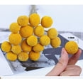 thumbnail image 3 of 0 Stems Natural Craspedia Dried FlowersYellow Billy Buttons Balls Bouquet Natural Dried Flowers Large Diameter for Home Decor Photo Props DIY Wedding Decoration, 3 of 5