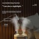 thumbnail image 2 of Humidifier Double Spray 1.8L Mist Maker Fogger LED Night Light 32dB Quiet - Green / EUPlug, 2 of 5