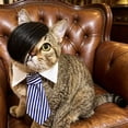 thumbnail image 6 of Pet Wig with Ties Funny Hairpiece Bowtie for Cats Dogs Party Photo Prop,Blue, 6 of 6