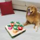 thumbnail image 4 of Billuyoard Funny Carrot Plush Toy for Dogs Pulling  Fruit Carrots Plaything Vegetable Suministros para perros 6 hoyos, 4 of 6