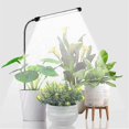 thumbnail image 4 of Grow Light For Indoor Plants Growing, 6000k Full Spectrum Gooseneck Plant Lamp For Seedings Succule Hy, 4 of 5
