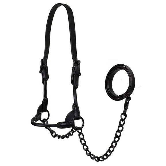 Derby Black Midnight All Black Premium Round Rolled Leather Cattle Show Halter with Matching Chain Lead
