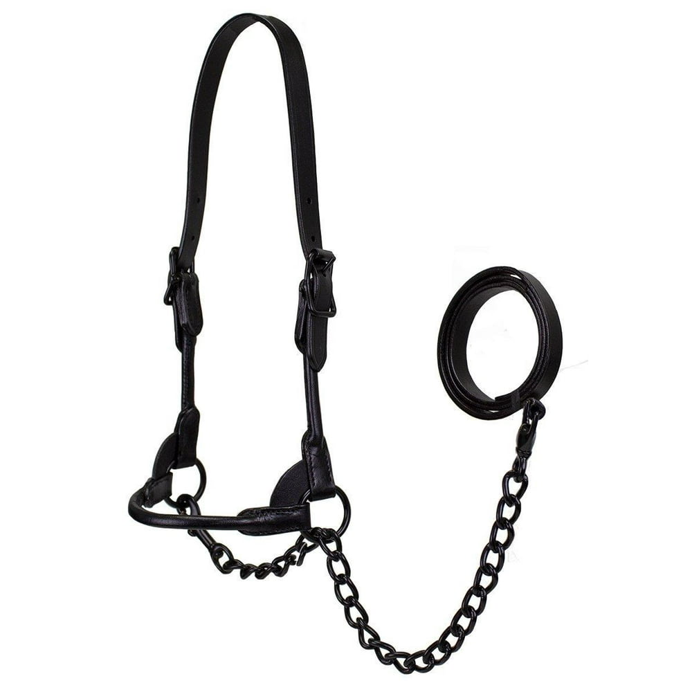 Derby Black Midnight All Black Premium Round Rolled Leather Cattle Show
