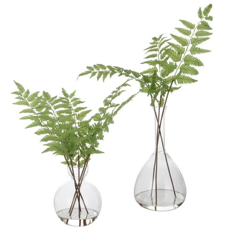 

Uttermost Country Polyester And Plastic Set Of 2 Ferns 60202