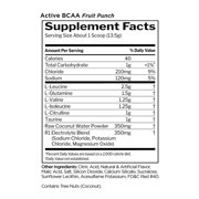 RULE 1 Train BCAAs 30 serv Fruit Punch Stim Free Intra Workout 450g