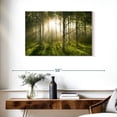 thumbnail image 3 of Elephant Stock Birch Forest Sunlight Wall Art - Horizontal Canvas Wall Art - Living Room Wall Decor - Nature Canvas - Beige And Gray Decor - 36" x 24", 3 of 8
