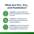 thumbnail image 5 of Metagenics UltraFlora Triplebiotic with Akkermansia- Digestive Supplement for Gut Health & Gut Barrier Function* - Contains Prebiotic, Probiotic & Postbiotic - 30 Capsules, 5 of 9