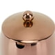 thumbnail image 3 of Grand sucrier en acier inoxydable, pot à épices avec couvercle, rangement pour sel, bonbons, café, lavable au lave-vaisselle, or rose, 3 of 4