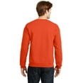 thumbnail image 3 of Normal is Boring - Women's Plus Sweatshirts and Hoodies - Arizona, 3 of 5