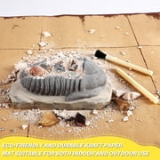 Piano Potato Fossil Dig Kit for Kids | 12 Genuine Fossils Science Set with Trilobite Dig Block, Display Showcase & Storage Box | STEM Paleontology Educational Toy Gift for Boys & Girls Ages 6-12