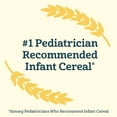 thumbnail image 4 of Gerber Baby Cereal, 2nd Foods, Probiotic Oatmeal Banana - 8 OZ, 6 Count, 4 of 5
