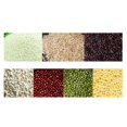thumbnail image 5 of kurtrusly 1/2/3/5 Countertop Rice Bucket Grain Dispenser Food Storage Container 1000ML 1 Pc, 5 of 5