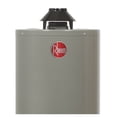 thumbnail image 3 of Boiler Calentador de Agua Rheem 38 Litros 1 Servicio Gas Natural, 3 of 5