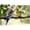 HTB14-BIRDS-SLM08, variant on PixonSign Canvas Print Wall Art Lovebird Parrots on Tree Animals Wilderness Photography Realism Contemporary Closeup Relax/Calm Multicolor Ultra for Living Room, Bedroom, Office - 32x48
