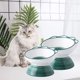 thumbnail image 5 of Cuenco para gatos elevado, cuenco para gatos de cerámica elevado con ángulo inclinado, protege la columna vertebral de las mascotas MFZFUKR L, 5 of 5