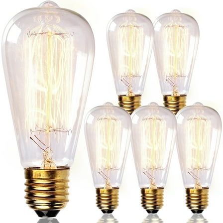 Newhouse Lighting 60W ST64 Vintage Edison Light Bulb, 6-Pack