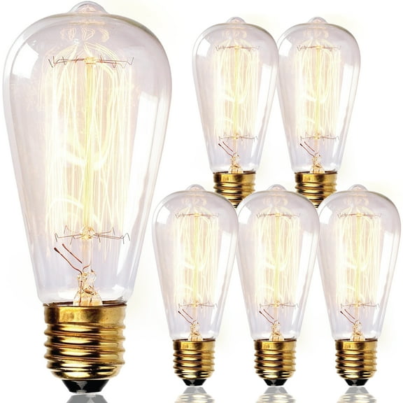 Newhouse Lighting 60W ST64 Vintage Edison Light Bulb, 6-Pack