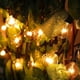 thumbnail image 2 of Luces colgantes para exteriores, 10 LED, impermeables, de 5,5 m, para fiestas, patios, jardines y bodas, decoración de hadas, 2 of 5
