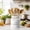 White, variant on Ceramic Farmhouse Utensil Holder for Kitchen Counter, Large Rustic Utensil Crock, Countertop Cooking Tool Spatula Organizer, 6.75” (Red)