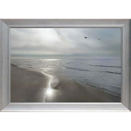 North American Art N2032 28 x 40 x 2 in. Beach Flight Framed Art
