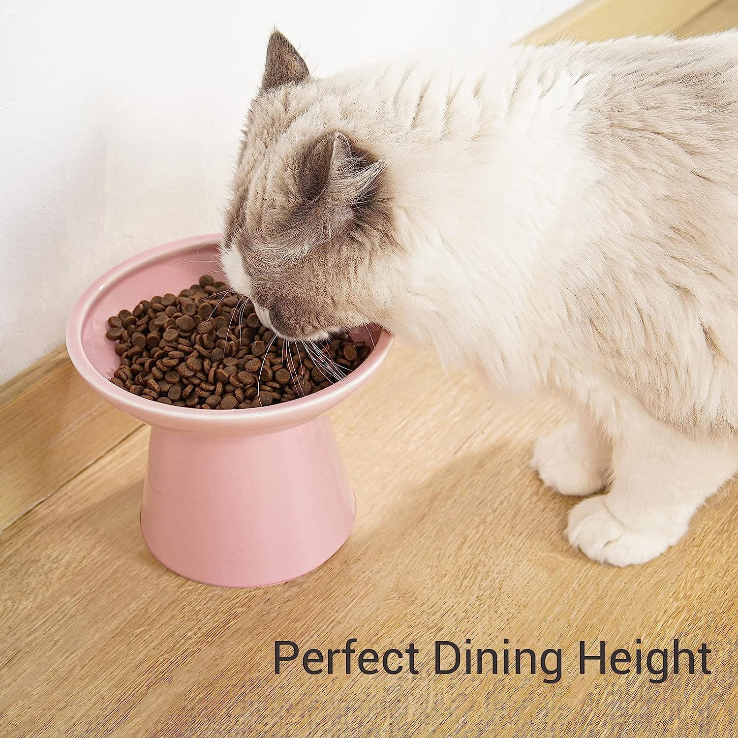 Extra Wide Elevated Ceramic Cat Bowl, 6.2" Shallow Dish for Whisker Fatigue Relief, 5" Height for Easy Feeding, Durable Raised Cat Food Bowls, Pack of 2, Pink