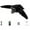 Black, variant on Interactive Chirping Bird Cat Toy with Real Feather & Catnip for Indoor Cats Hunting Instinct(Black,One Size)
