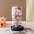 thumbnail image 2 of TIELUTT Preserved Rose Night Light A Valentine's Day Rose Suitable for Babies Second Christmas Ornament Ornament for Christmas Trees Ornament Set Random Ornament Assortment Christmas Ornament, 2 of 4