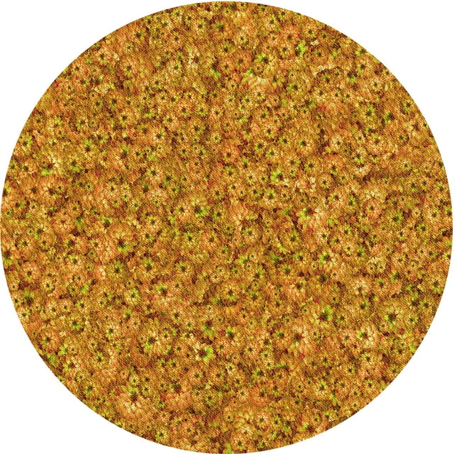 Ahgly Tapis Rond Lavable en Machine Intérieur Transitionnel Acajou Brun, 4 Pieds Rond