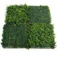 thumbnail image 2 of Greenery Panel 12 Pack - Indian Aster, 2 of 5