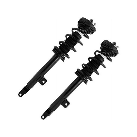 Front Strut Assembly Set - Compatible with 2011 - 2023 Chrysler 300 3.6L V6 2012 2013 2014 2015 2016 2017 2018 2019 2020 2021 2022