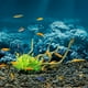 thumbnail image 4 of Fondo de acuario Zulema Etiqueta engomada del fondo del tanque de peces 61x30cm, 4 of 6