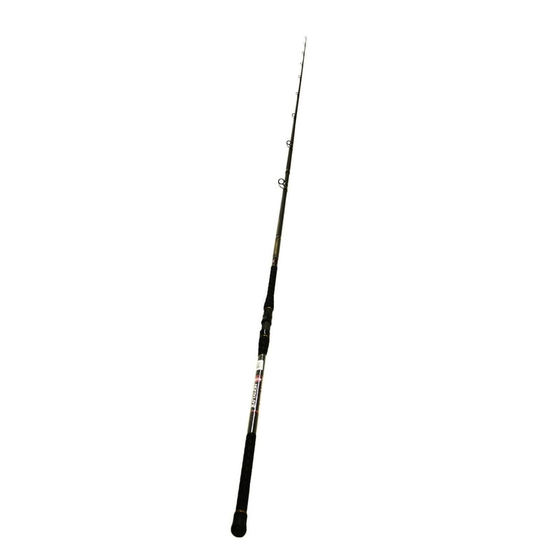 Penn Battalion Surf Casting Fishing Rod 12' Length, 2 Piece Rod, 20-40 lb  Line Rate, 4-10 oz Lure Rate, Heavy Power