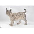 thumbnail image 4 of Garden Decor Animal Statue Lynx Statue, 4 of 4