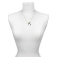 thumbnail image 3 of Delight Jewelry Rose Goldtone Crystal Initial - Y - - Love and Lock Charm Necklace, 18"+1", 3 of 4