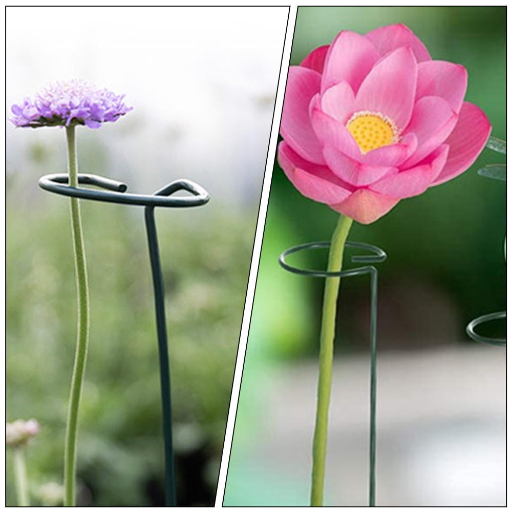 IBASETOY 10pcs Plant Climbing Trellis Support for Vines and Flowers for Outdoor Garden and Patio Use