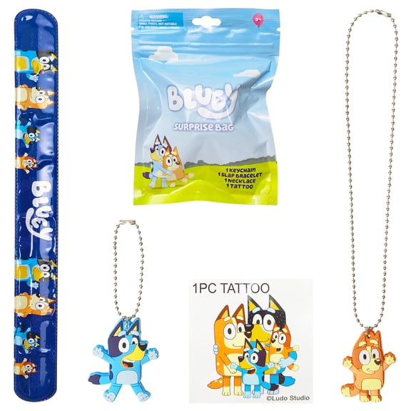 Bluey Themed 4 Piece Surprise Party Favor Bag Set