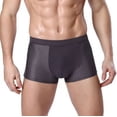 thumbnail image 1 of Ropa interior masculina de seda de hielo, malla U convexa, modal, bóxer para hombre, ropa interior de verano, calzoncillos para hombre, 1 of 6