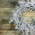 thumbnail image 3 of Northlight 22" Unlit Clear Ice and Snowflakes on Black Twigs Christmas Wreath, 3 of 3