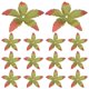thumbnail image 1 of Houderco 100Ud Base Artificial Para Flores Calyx De Tela Verde Para Suministros De Y Manualidades, 1 of 6
