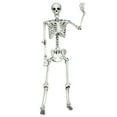 thumbnail image 2 of Gymax Full Body Halloween Skeleton 5.4ft Life Size w/ Hanging Rope Movable Joints, 2 of 10