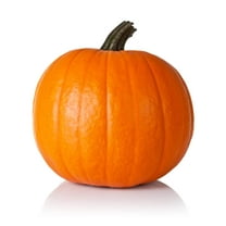 Spartan Pumpkin Seeds for Planting (10 Seeds) - All American Favorite - 20 Pound Pumpkins