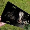 thumbnail image 5 of 1 Pcs 2D Flat License Plate Covers & Frames, Cow in a Bucket For Decorative Front, Waterproof For Decoration Aluminum License Plate Covers & Frames Cover For Men Women, 12" X 6", 5 of 6