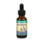 KAL Herbs for Kids Sweet Echinacea