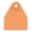 Orange, variant on Allflex Global Medium Blank Tags Red 25's, 1 Count