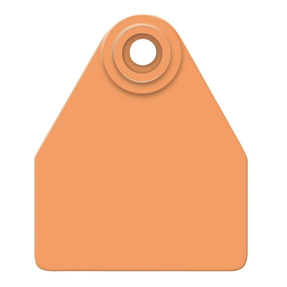 Allflex Global Medium Cattle Blank Ear Tags 25 Count Orange