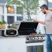 Ego Power+ 180W Bluetooth Speaker (Bare Tool)