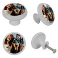 thumbnail image 4 of Dachshund Fluorescent Drawer Pulls with Screws - Round 4-Pack Glow-in-the-Dark Knobs for Cabinets, Wardrobes, and Dressers - Furniture Decor with Cupboard Handles, 4 of 6