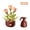 Rose-334pieces, variant on Building Block Flower Set 455 Pieces, Motorized Blooming Hibiscus, LED Lights, Christmas Gift for Kids Adults
